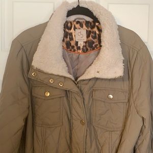 Dress Barn fall transition coat